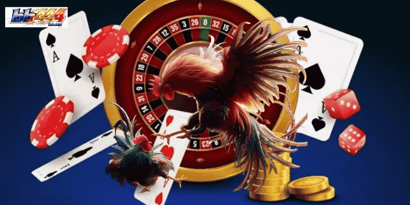 Top 5 Expert Cockfighting Tips for Consistent Wins