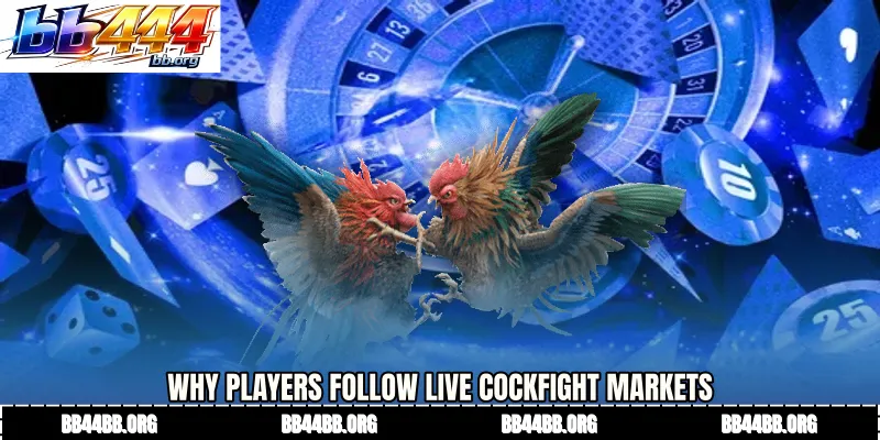 Why Players Follow Live Cockfight Markets