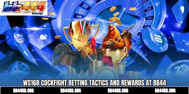 WS168 cockfight betting Tactics and Rewards at BB44